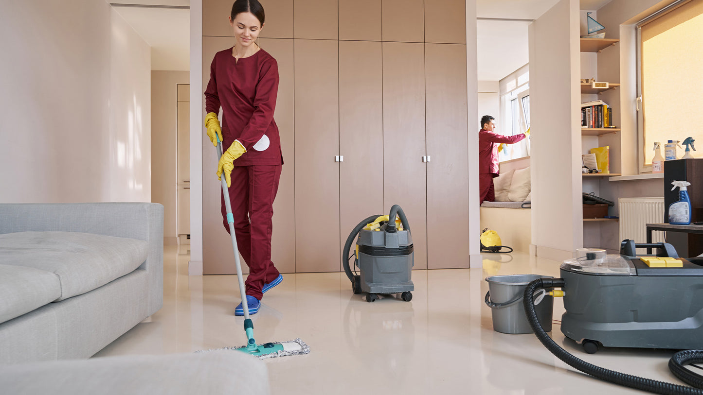 Standard Home Clean