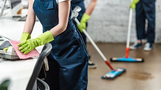 Standard Home Clean